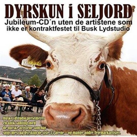 Dyrskun I Seljord - Jubileum-CD