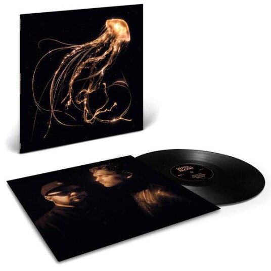 Royal Blood - Back To The Water Below (Vinyl)