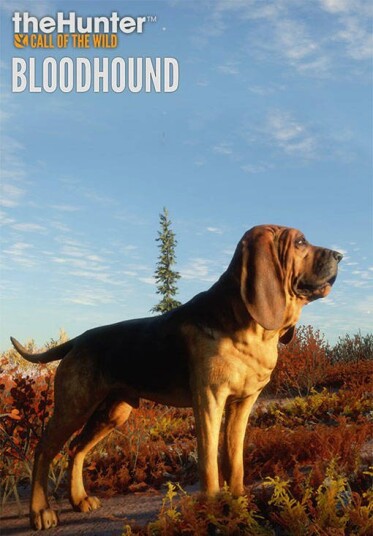 theHunter: Call of the Wild - Bloodhound (PC)