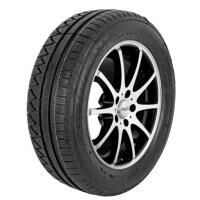 Profil Winter Maxx Evo 205/55R16 91H regummiert