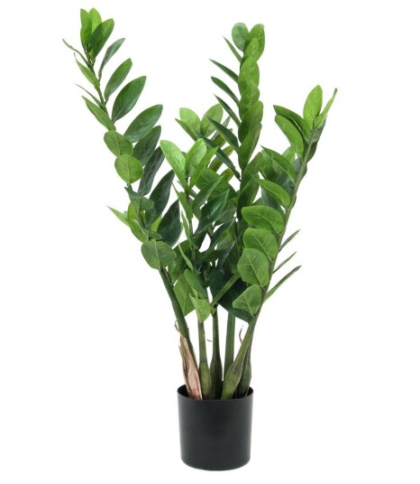 Kunstig Zamifolia, 70 cm