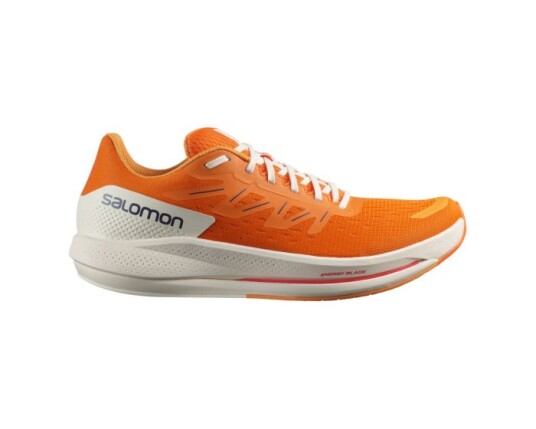 Salomon Spectur 41 1/3