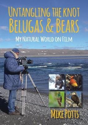 Untangling the Knot, Belugas and Bears  My Natural World on Film