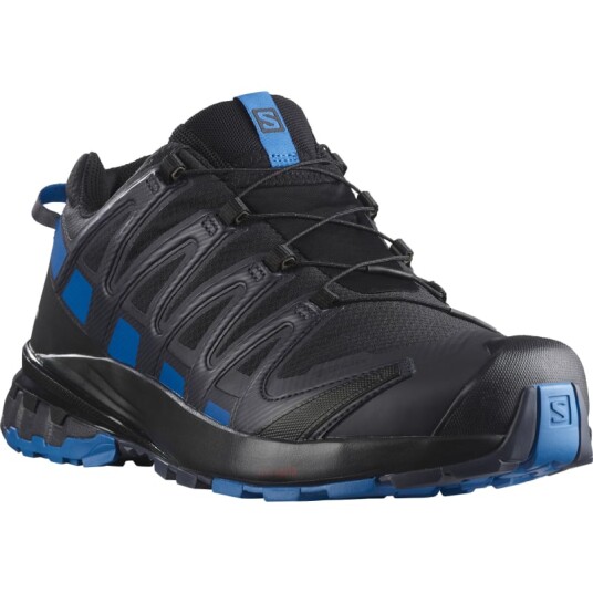 Salomon Men's XA Pro 3D V8 GORE-TEX Sort 41 1/3 Man