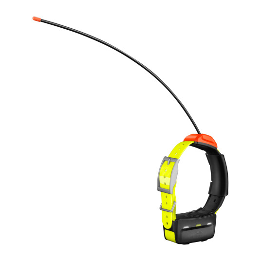 Garmin T5x Gps Collar, Nordic, GPS-halsbånd STD