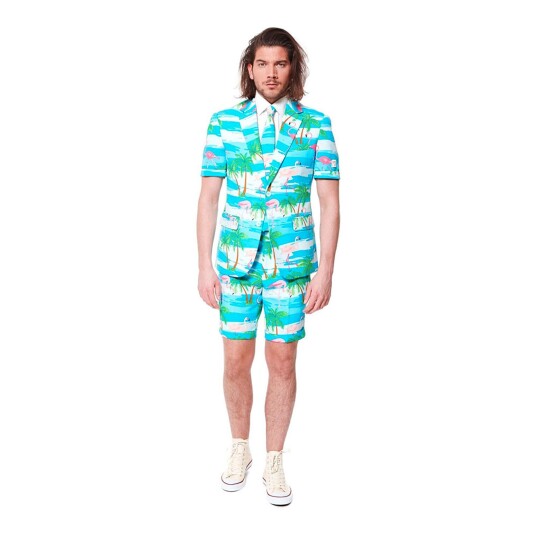 OppoSuits Flaminguy Shorts Dress  50