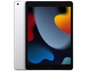 Apple iPad (9th gen) 10,2" Wi-Fi + Cellular 256GB Silver