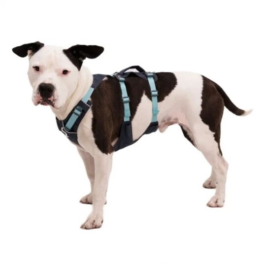 Ruffwear Flagline Hundesele Grå/Turkis (L-XL)