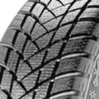 GT Radial Champiro Winterpro 2 205/55R17 95H