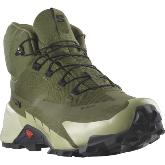 Salomon Men's Cross Hike 2 Mid GORE-TEX 40, Olive Night/Moss Gray/Black