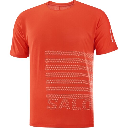 Salomon Sense Aero Ss Tee Gfx M Cherry Tomato / Rainy Day L