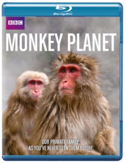 Monkey Planet