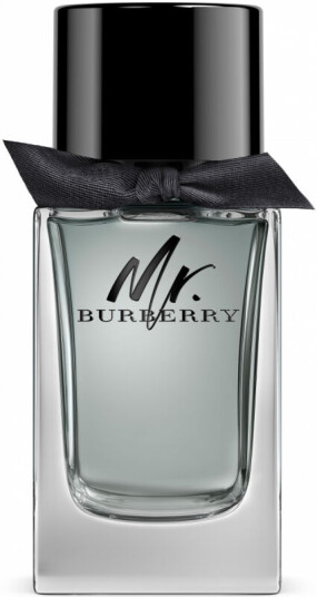 Burberry Mr Eau de toilette 100ml