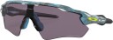 Oakley Radar Ev Path Sanctuary Swirl/prizm Grå No Size