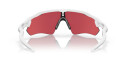 Oakley Radar Ev Path Polished White w/Prizm Sapphire Snow, multisportbrille STD White w/ PRIZM Sapph