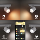 Philips Hue WCA Argenta Enkel Spotlight 5.7W Alu - 60203