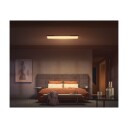 Philips Hue WCA Surimu Lyspanel 30x120 60W - 60667