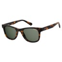 Polaroid Sunglasses Havana 20298308650UC