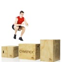 Gymstick Wooden Plyobox