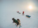 Åsnes Finnmark 54 Waxless 200