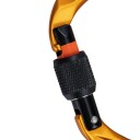 Mammut Sender Screwgate karabiner, gold