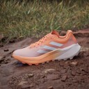 Adidas Terrex Agravic 3 Amber Tint/Crystal White/Putty Mauve 38