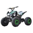 Engrosservice Stor elektrisk ATV 1000W børsteløs kardang 60V 20Ah