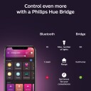 Philips Hue WCA Lyskilde 15W A67 E27 - 60555