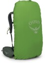 Osprey Kestrel 38 Bonsai Green L/XL