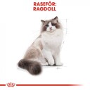 Royal Canin Ragdoll (400 g)