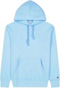 Champion Rochester Hooded Sweatshirt Herre Sky Blue L