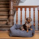 Fantail hundeseng Snug Mellow Smoke Gray, Str S: 70 x 55 cm