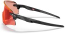 Oakley Encoder Polished Black