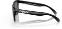 Oakley Frogskins Polished Black/Grey OS