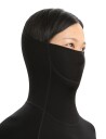 Icebreaker W Merino Ls Roll Neck Black Black female S