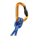 Mammut Sender Screwgate karabiner, gold