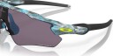 Oakley Radar Ev Path Sanctuary Swirl/prizm Grå No Size