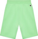 Champion Bermuda Shorts Gutt Spring Boquet XL