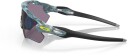 Oakley Radar Ev Path Sanctuary Swirl/prizm Grå No Size