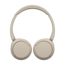 Sony WH-CH520 headphones with mic