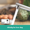 Hansgrohe Zesis M33 Kjøkkenbatteri 1jet, Krom