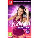 Zumba Burn it Up! (NS)