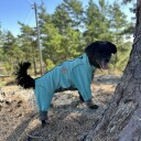 Turkis heldress til hund - Snøbeskyttende dress