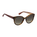 Tommy Hilfiger Sunglasses Havana 20467605L53HA