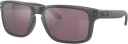 Oakley Holbrook B/Steel W/Prizm Daily Polarized OS