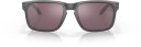 Oakley Holbrook B/Steel W/Prizm Daily Polarized OS