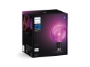 Philips Hue Lightguide G125 E27 smart kuleformet LED-pære 500 lm