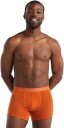 Icebreaker Anatomica Cool-Lite Boxer Ms Earth L