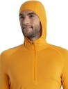 Icebreaker Merino 200 Sonebula Ls Half Zip Hood Herre Earth/Solar/Loden/Cb L