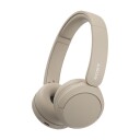 Sony WH-CH520 headphones with mic